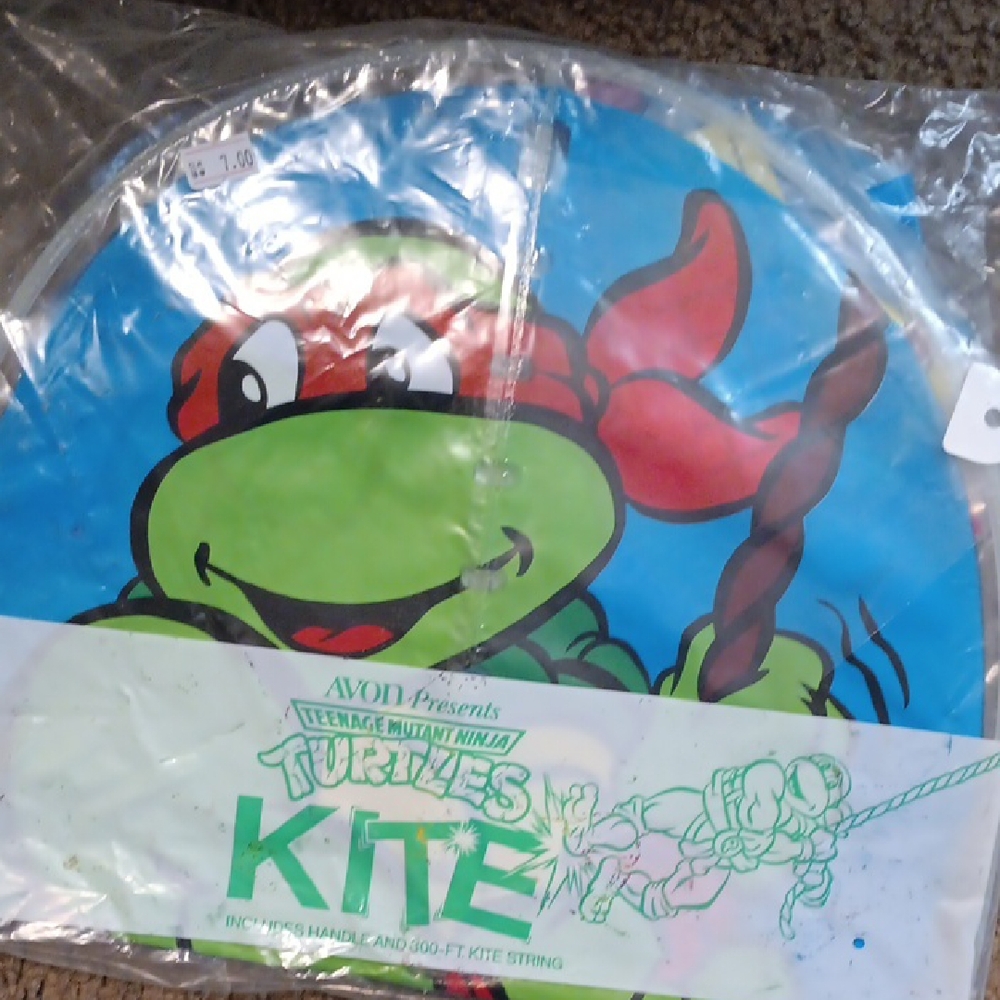 Avon Teenage Mutant Ninja Turtles Kite - Blue and Red